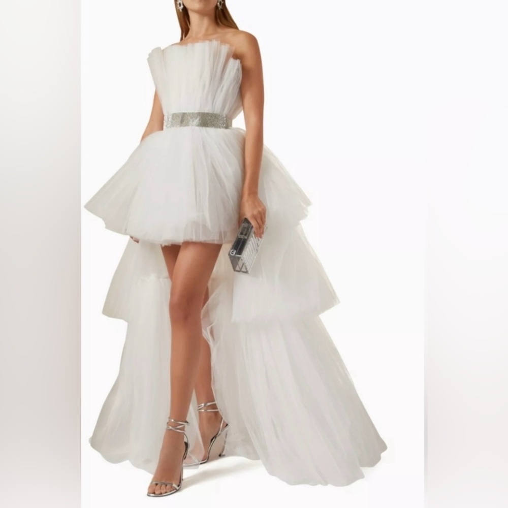 EUC Bronx and Banco Anna Tulle High-Low Strapless Gown - Picture 4 of 9